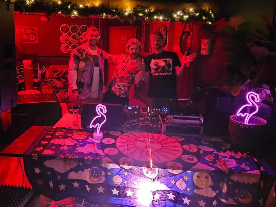 DJ Night with Neon Flamingos